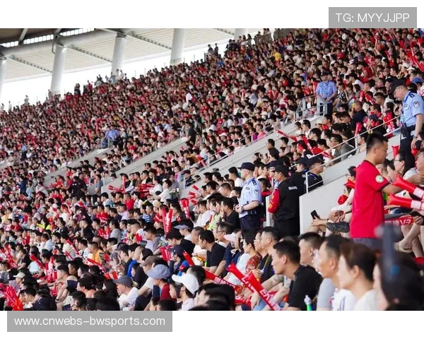 球迷文化受关注，赛场安全与观赛体验需平衡