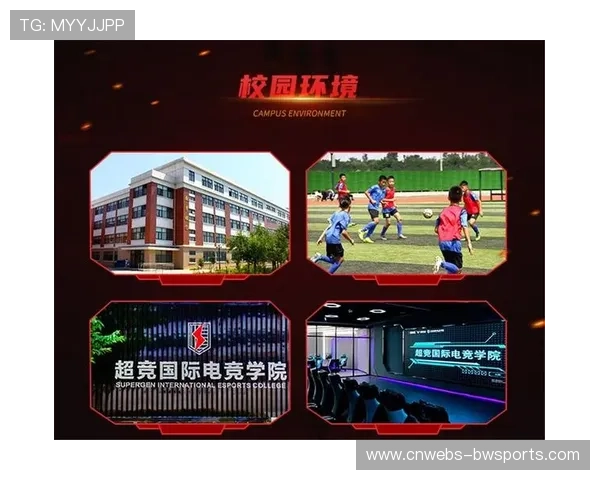 电竞职业化发展,选手培训与战术研究日益系统